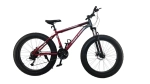 Велосипед  фэтбайк BIKE Dragon BDF-26-3 (красный)