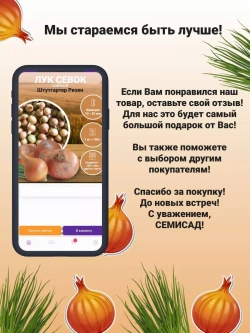 Лук севок озимый для посадки Штутгартер Ризен 1 кг