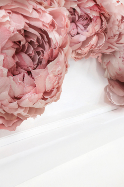 Коллекция Цветы