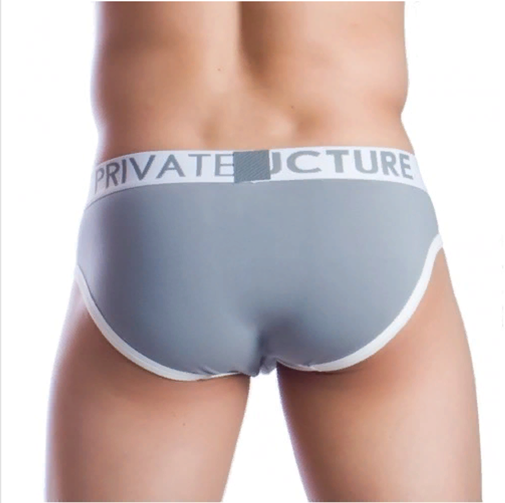 Мужские трусы брифы серые Private Structure NOS Spectrum Grey Brief PST0061