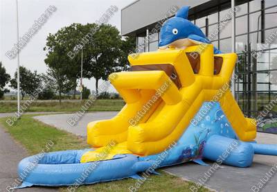 Надувная прямая водная горка с бассейном «История дельфинчика» 9*2,5*4 м