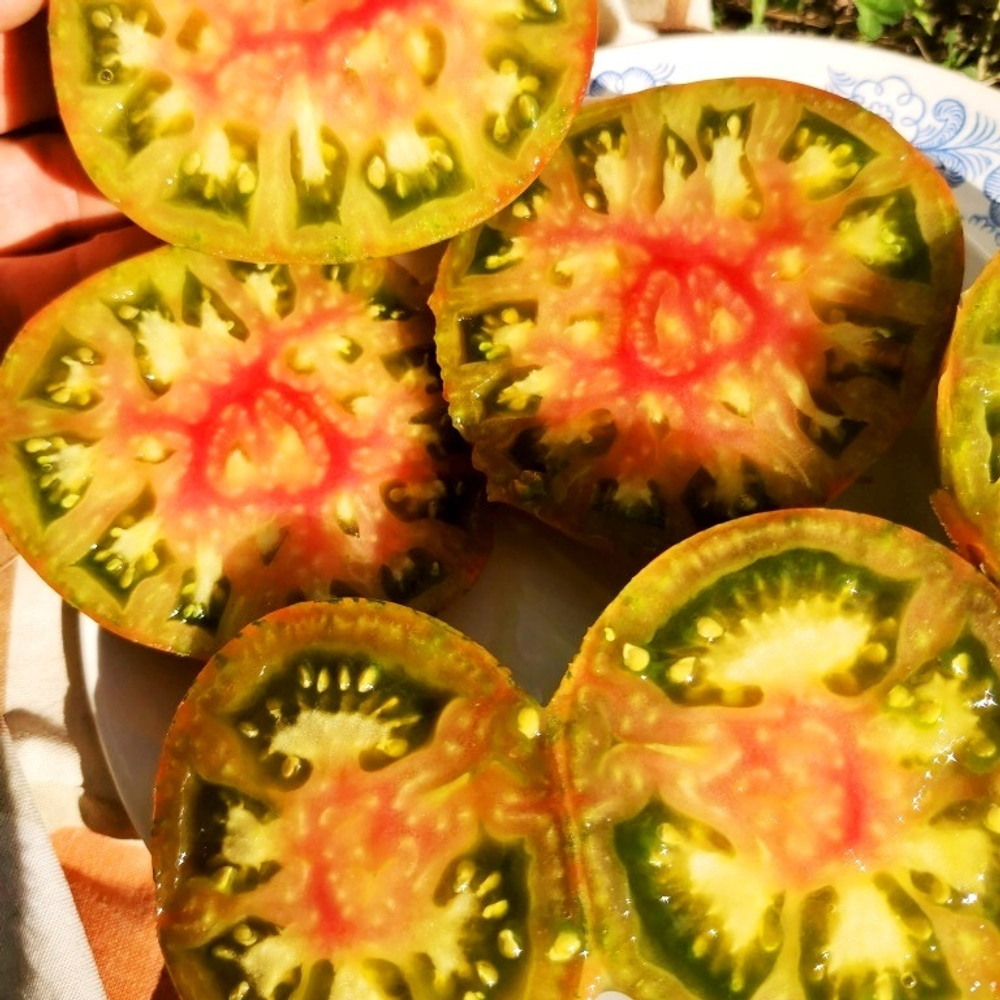 Помидоры Ананасная Зебра - Ananas Zebra Tomato