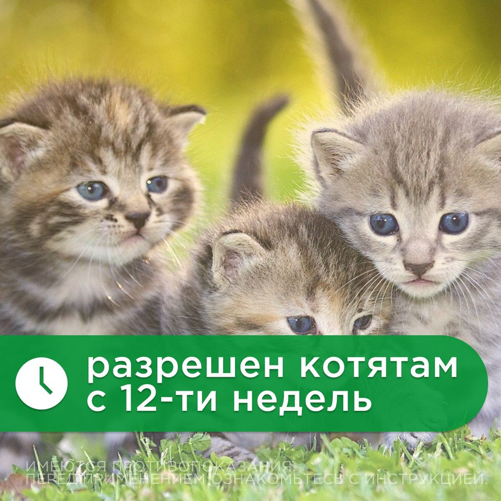 Капли для кошек 4-8кг от клещей, блох и комаров Rolf 3D Club, 1пипетка Фипронил/Этофенпрокс/Пирипроксифен
