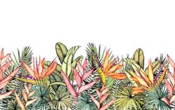 Яркие графические тропики 400x250 см