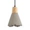 Подвес Lumion EOLIANA 8351/1B
