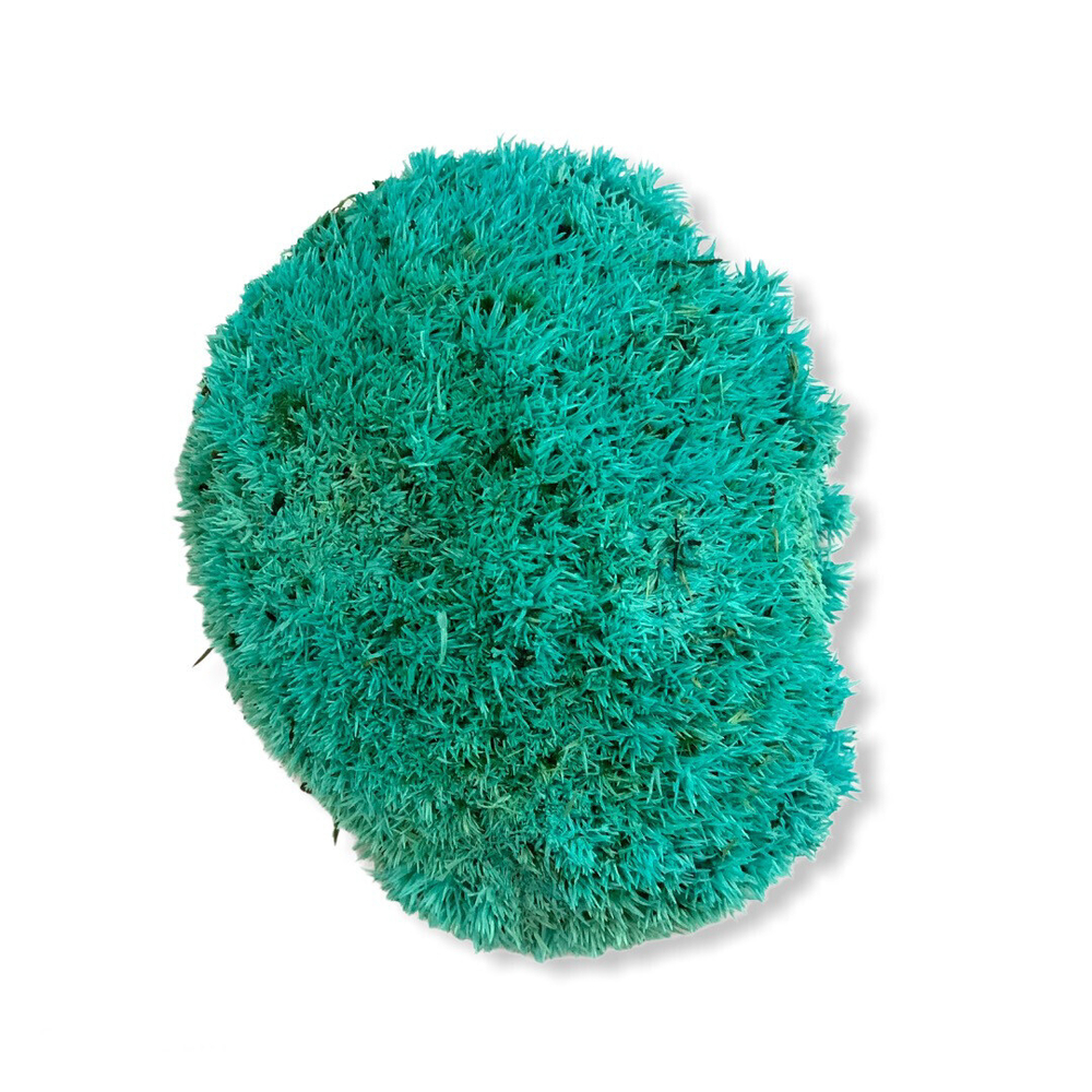 Мох кочкообразный бирюза EF