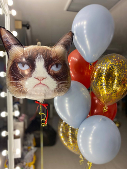 Воздушные шары Кот Grumpy Cat №1631