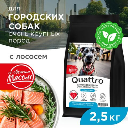 Корм сухой для взрослых собак очень крупных пород, премиум полнорационный комплекс, для городских собак, с лососем, 2,5 кг, QUATTRO