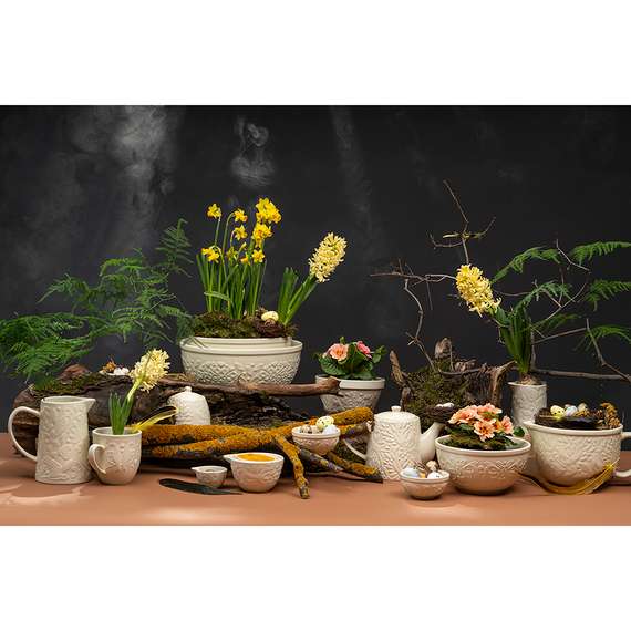 Сахарница birds of paradise, 400 мл, кремовая