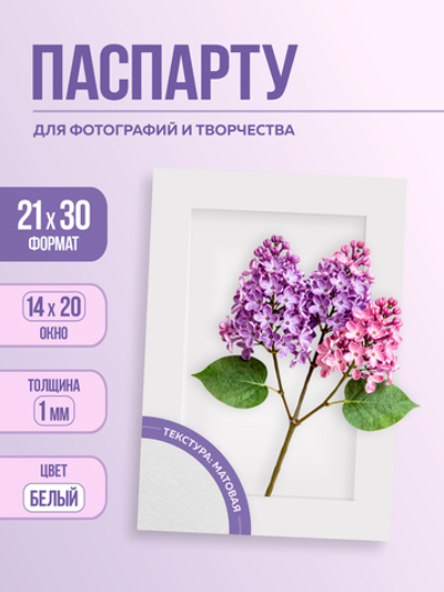 Паспарту 21х30 см белый арт.80992130