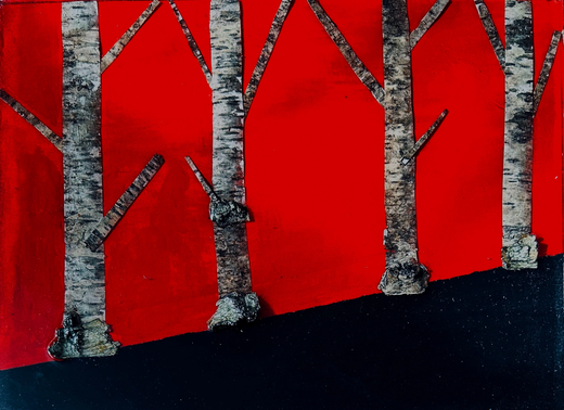 Березы на закате