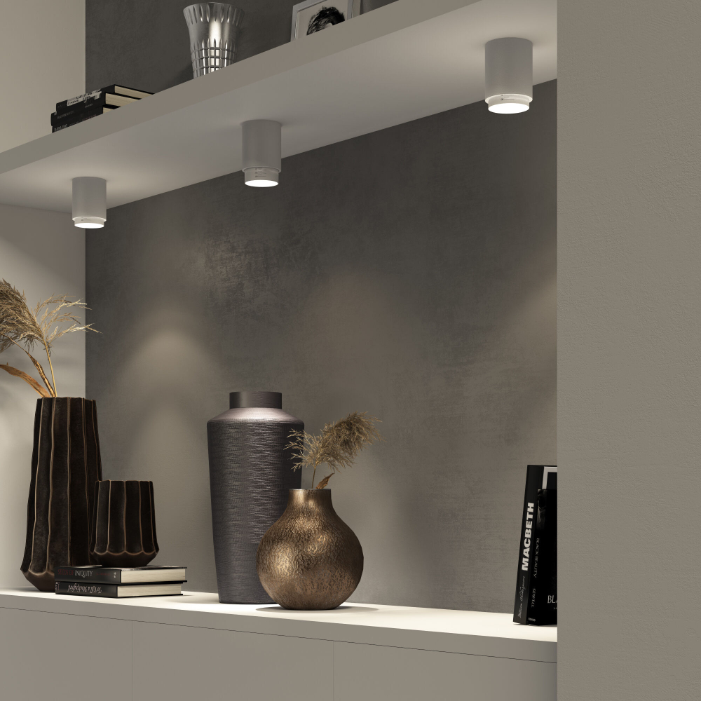 Накладной светодиодный светильник Elektrostandard Cors 25032/LED 10W 4200K белый