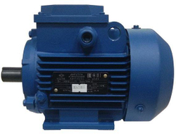 АИР71В6 - электродвигатель IM1081 (лапы) 0,55 кВт  920 об/мин