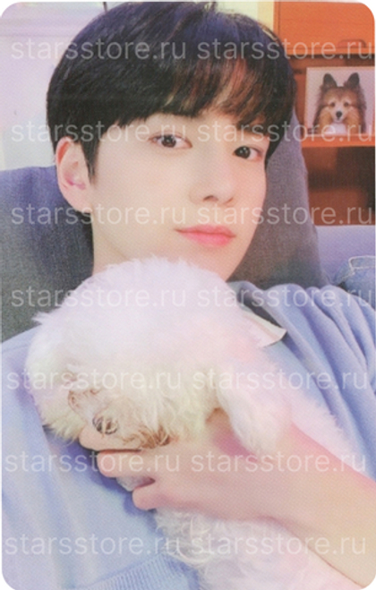 Фотокарта Younghoon THE BOYZ - CHASE (WITHDRAMA)