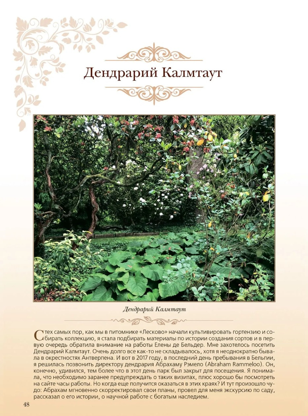 Гортензия. Факты в историях