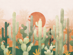 Коллекция Fancy