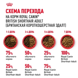 Royal canin british shorthair adult для британских короткошерстных кошек старше 12 месяцев - 2 кг