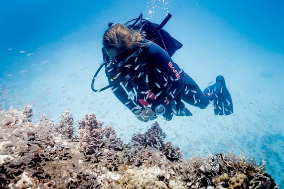 Декомпрессиметр Suunto Zoop Novo Blue Синий