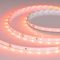 Светодиодная лента RT-A60-8mm 24V Carrot (4.8 W/m, IP20, 5m) Arlight 055375