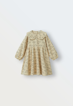 3120-128 Платье фланель (бежевые дракончики)