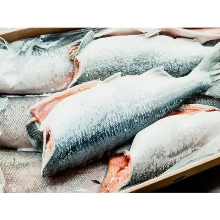 Кета ПБГ шт.зам. (1/30) 