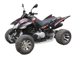 Квадроцикл ACCESS SP 300 SM