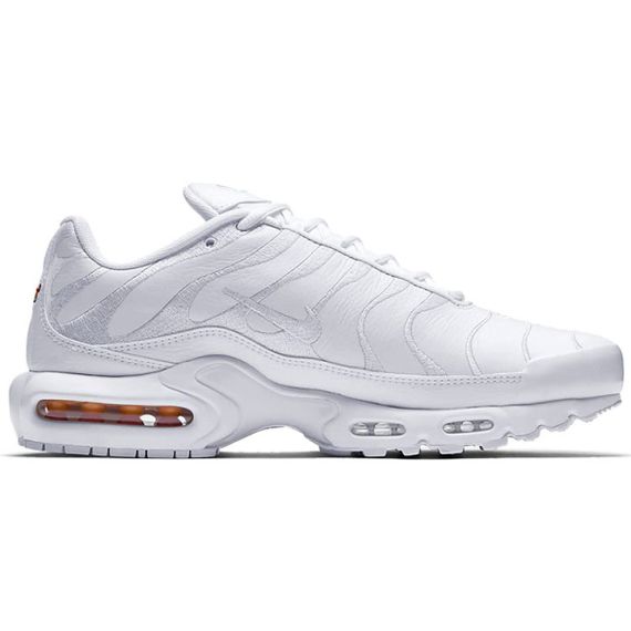 Кроссовки Nike Air Max Plus Мужские