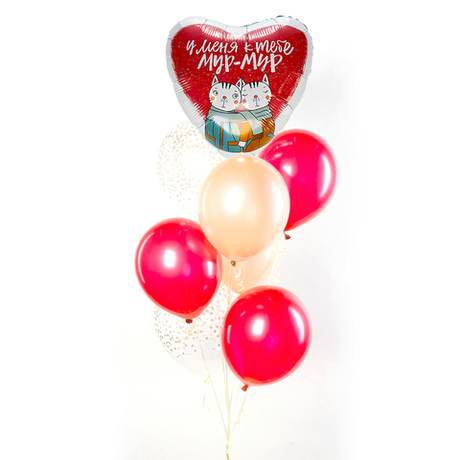 Букет из воздушных шаров "Мур-Мур"
