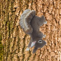 GAEM Фигурка декоративная "Белка", L26 W15,5 H17 см