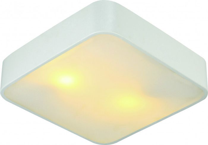 Накладной светильник Arte Lamp A7210PL-2WH