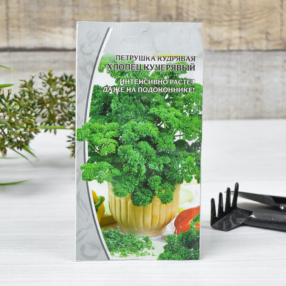 ПЕТРУШКА Хлопец кучерявый (2г) раннеспелый Цв.пак. (10шт)