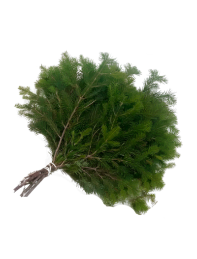 Пихтовый лапник