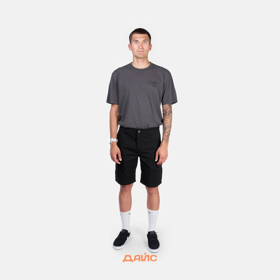 Шорты мужские Dickies Millerville Short артикул:DK0A4XEDBLK1 - купить в магазине Дайс
