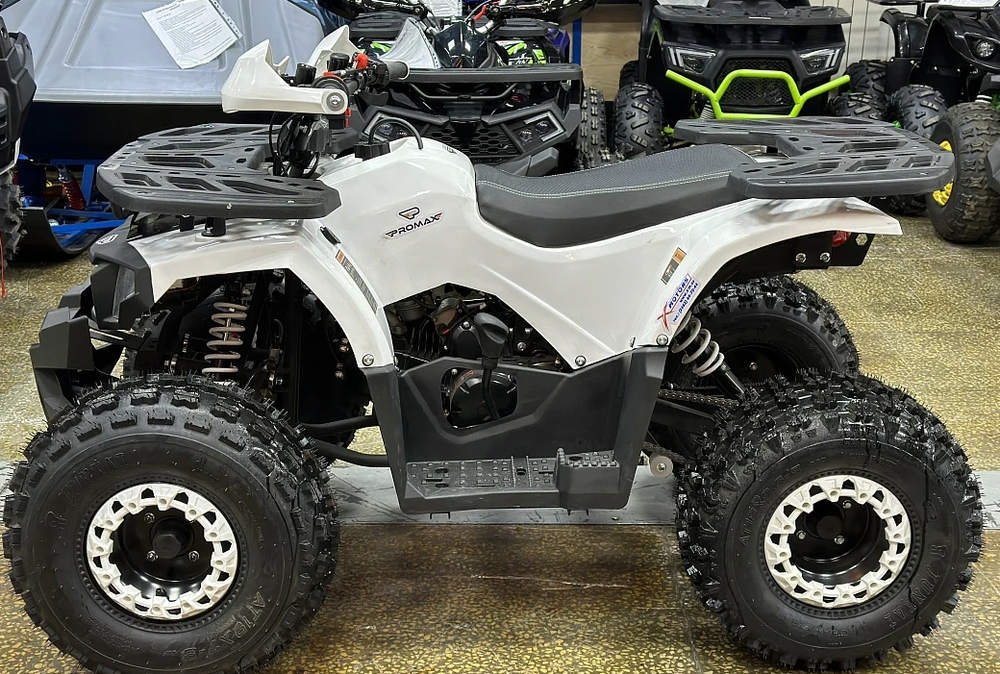 КВАДРОЦИКЛ PROMAX WILD 2.0 190