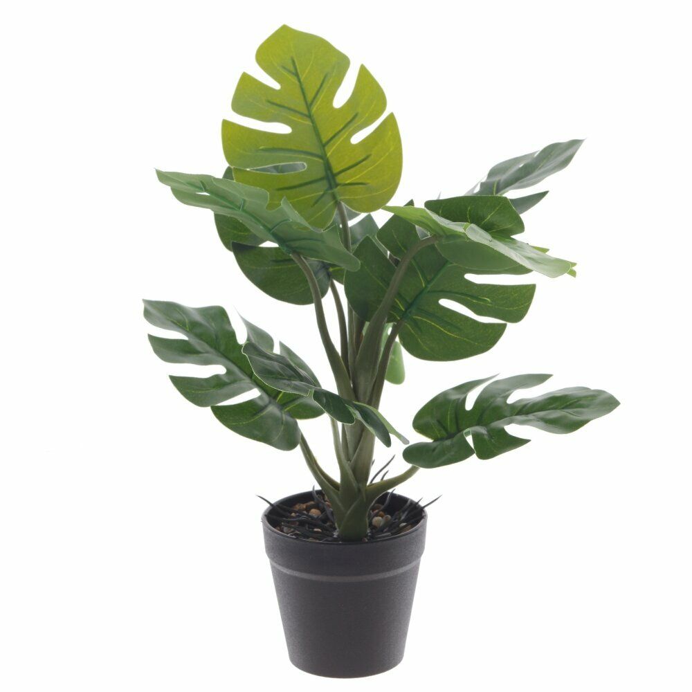 GAEM Цветочная композиция, L25 W25 H30 см, 5в.