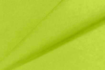 Велюр Тэдди 932