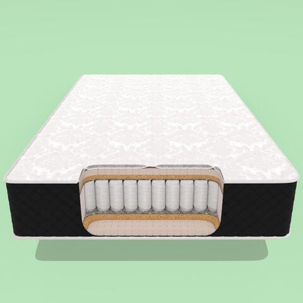 Medium Plus TFK Latex3