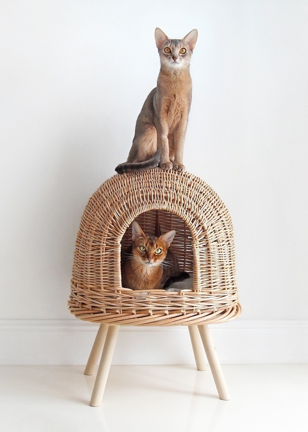 Домик "Пони-НЛОни"