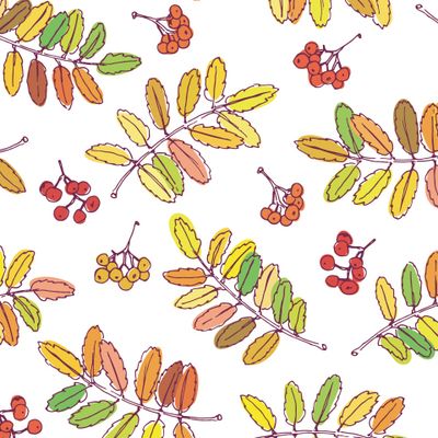 листопад - рябина