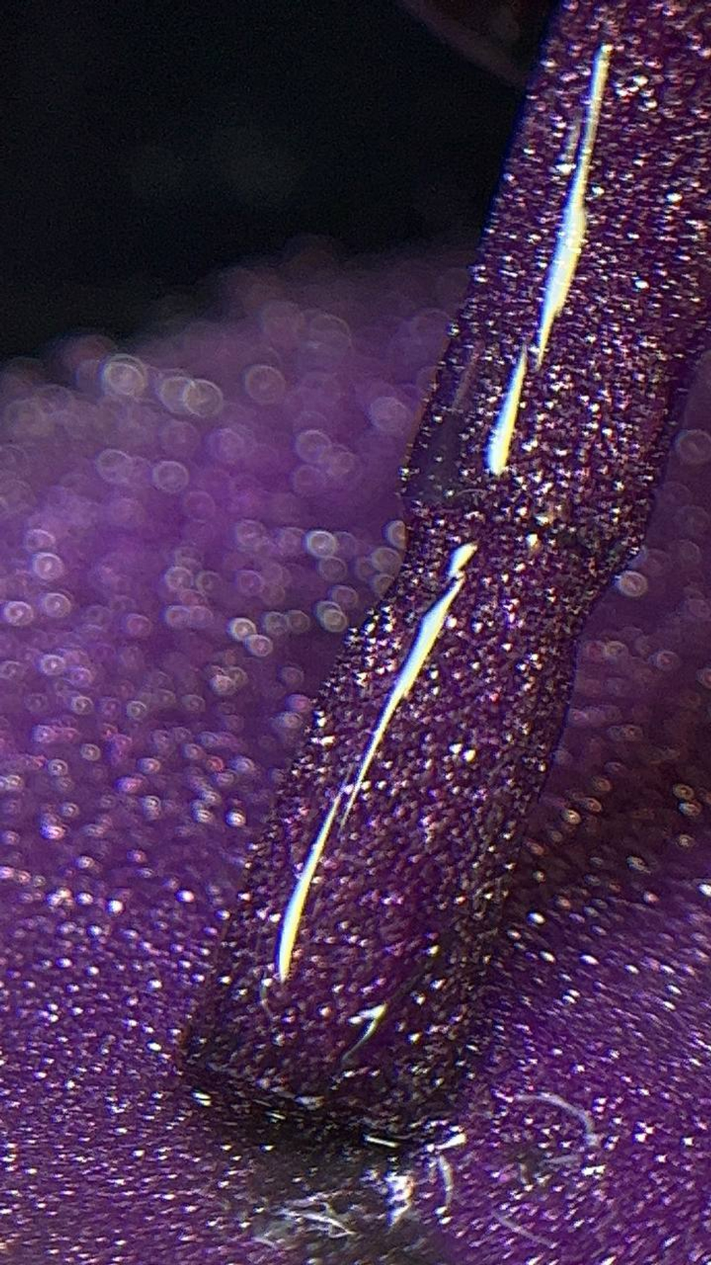 Гель-лак Neon disco 9 мл №4