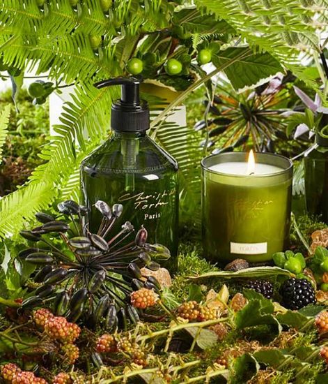 Ароматическая свеча Заповедный лес, Christian Tortu