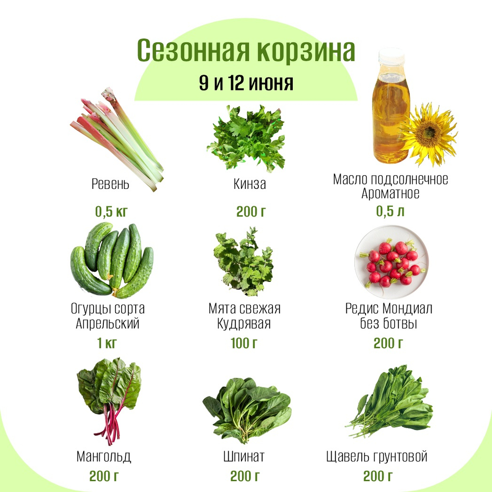 Сезонная корзина