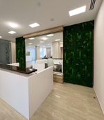 Вертикальное озеленение стабилизированным мхом и растениями офиса компании «Оазис-Сити»