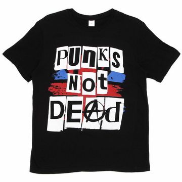 Футболка Punks not dead (770)
