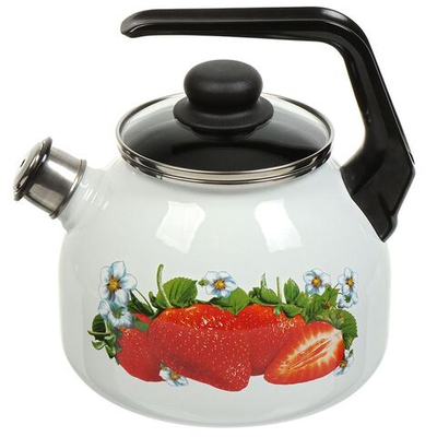 Чайник сталь, эмал, 3 л, свист, пл кнопка,с декором, руч консоль, Сиб товары, С2717.3, индукц, бел