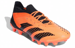 Кроссовки Adidas Predator Accuracy.1