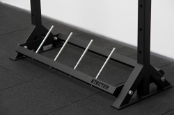 Стеллаж для хранения грифов и дисков 1100-1950