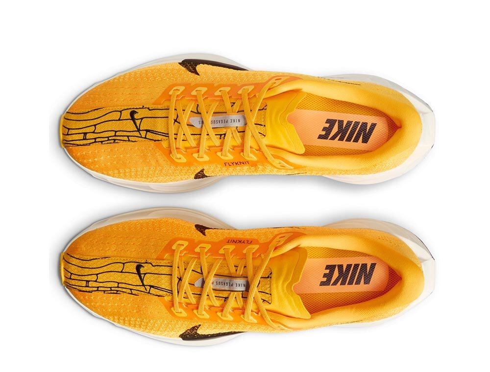 Кроссовки для бега мужские Nike Pegasus Plus Modern Mayfly M Желто-Черный