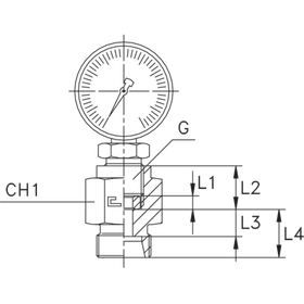 Штуцер DS12 BSP 1/2