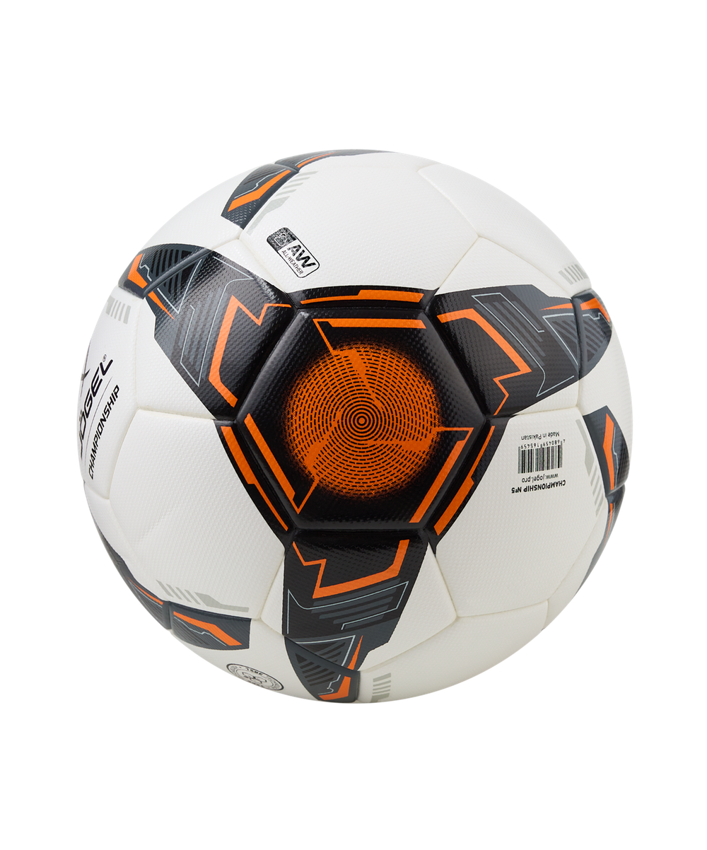 Мяч футбольный Championship №5, белый